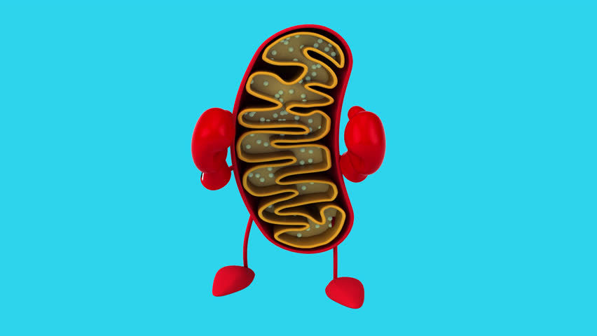 Fun 3D cartoon mitochondria (with alpha channel)