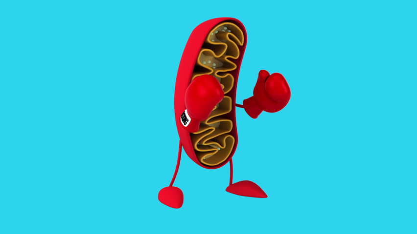 Fun 3D cartoon mitochondria (with alpha channel) - Powered by Shutterstock - Get 15% off with code: PIKWIZARD15