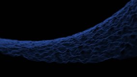 Abstract digital wave with blue light particles on a dark background, representing technology, data flow, and futuristic design artificial intelligence background. 4k loop animation video - Powered by Shutterstock - Get 15% off with code: PIKWIZARD15