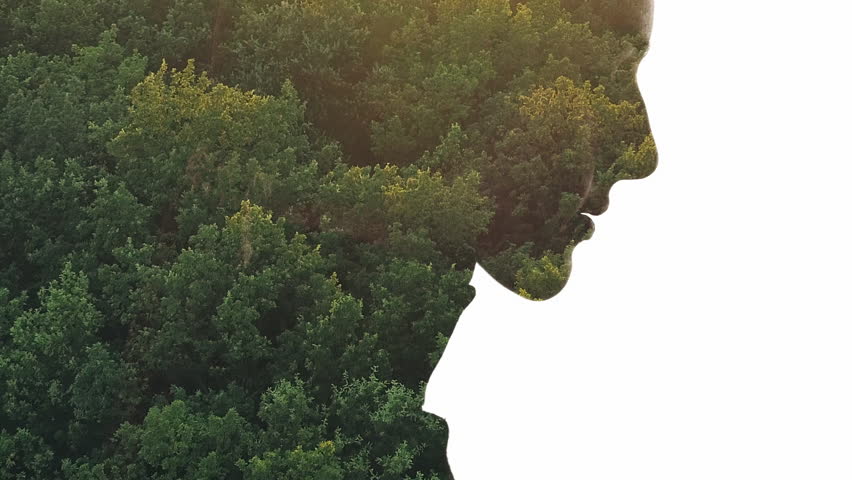 Nature inspiration. Environmental protection. Aerial view forest foliage in double exposure profile silhouette of grateful woman face isolated on white copy space background.