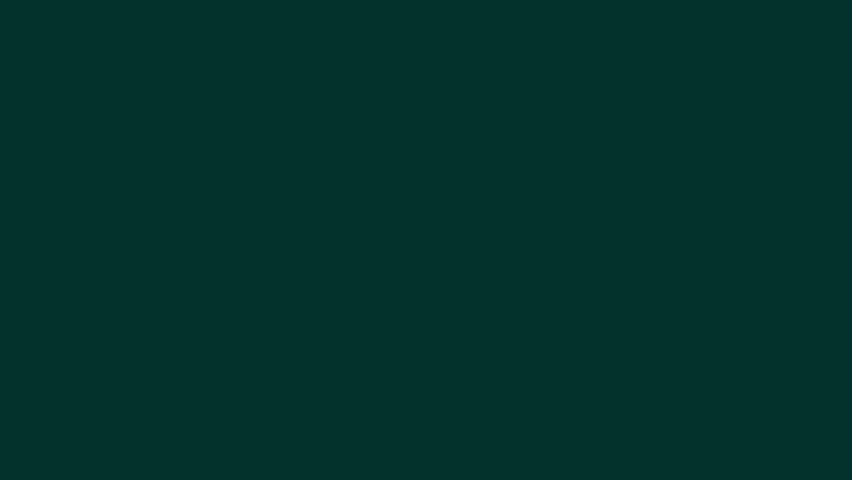 Text animation with echo effect