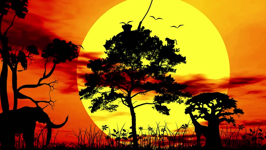 Sunset african wildlife scene elephant and monkey trees silhouettes animation