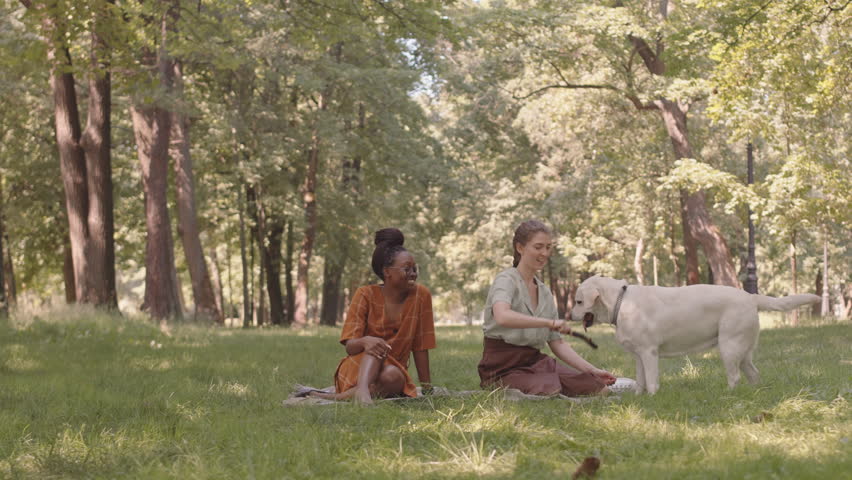 Long shot of young Caucasian woman playing with dog and stick in park sitting on ground, her female African friend watching and smiling