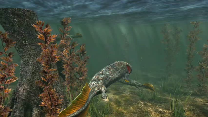 Tiktaalik swimming in water 3D animation