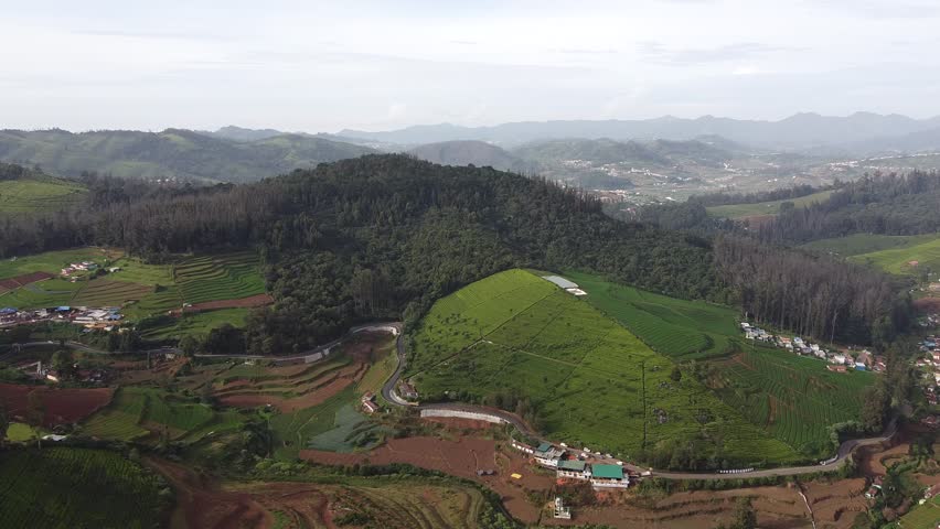 Passing through the lush green forests of India