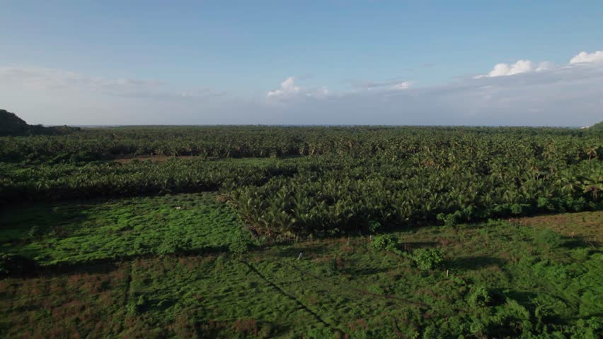 el limon samana republica dominicana