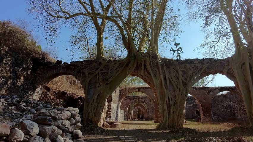 Ex Hacienda de San Jacinto Ixtoluca: aqueducts with trees and blue sky during the day in La Mezquitera, Morelos, Mexico, wide shot