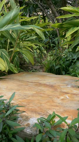 top of smooth stone in the outdoors surrounded by plants at vertical composition