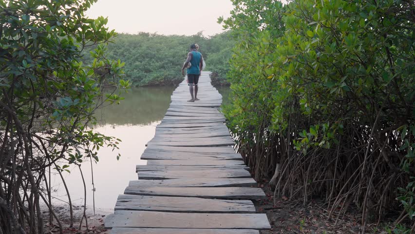 The back view of two people crossing a wooden bridge over a tropical river