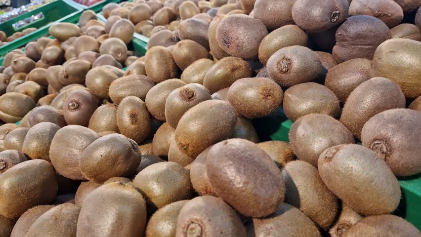 Ripe kiwis on a counter in a store or supermarket. A pile of kiwis close-up at the market. Kiwi fruits for sale