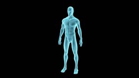 A high-quality 3D holographic render of a human body with slight camera movement from right to left. Includes a luma matte. - Powered by Shutterstock - Get 15% off with code: PIKWIZARD15