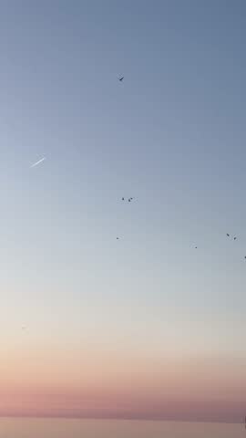 Birds Flying Over Calm Sea at Sunset with Gradient Sky