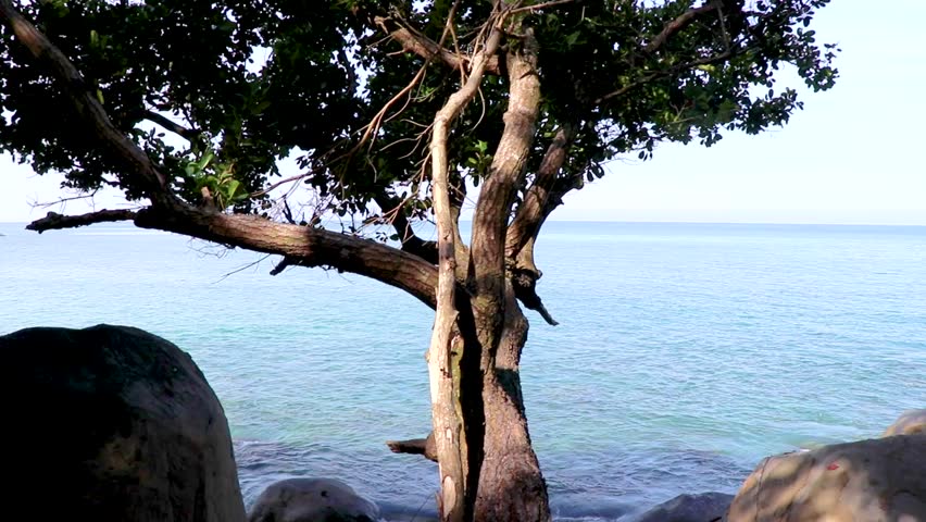 Rare boulder rock stone formation in the beautiful amazing coast line and beach landscape panorama view of the Lam ru Lamru Nationalpark in Khao Lak Phang nga Thailand.
