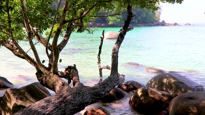 Beautiful amazing little small sandy beach in tropical forest jungle and landscape of the Khao Lak Lam Ru National Park Khuekkhak Amphoe Takua Pa Phang Nga Thailand in Southeast Asia.