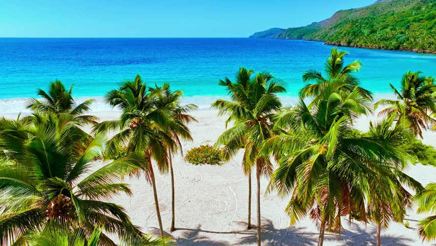 Summer landscape of sandy beach with colorful palm trees on white sand. Calm turquoise ocean on sunny day. Indonesian perfect landscape, copy space, panoramic view.