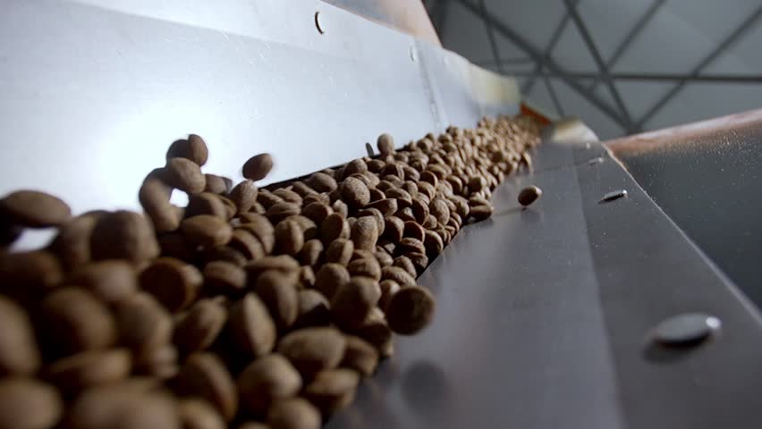 dog dry food conveyor, production line, pet food factory, close-up