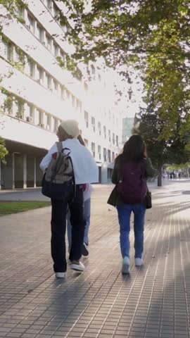 Multicultural group of students walking outside on the street to go home. Rear view of classmates leaving the school after class. Vertical video with copy space.