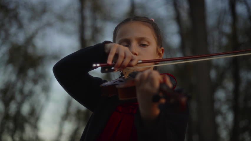 Little girl concentrating on violin at sunset