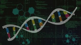 DNA strand with binary coding, processing scientific data in animation. Genetics, biotechnology, research, bioinformatics, DNA sequencing - Powered by Shutterstock - Get 15% off with code: PIKWIZARD15