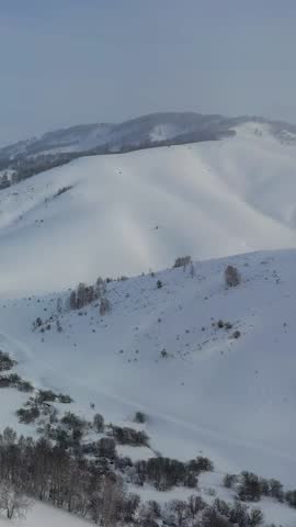 Vertical aerial video view from drone on hilly winter snow landscape natural background. Biryuksinsky mountain pass in Altai.