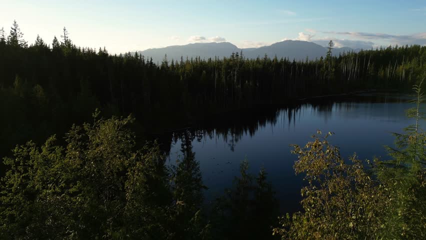 Aerial View of Calm Lake in Forest at Sunset in British Columbia