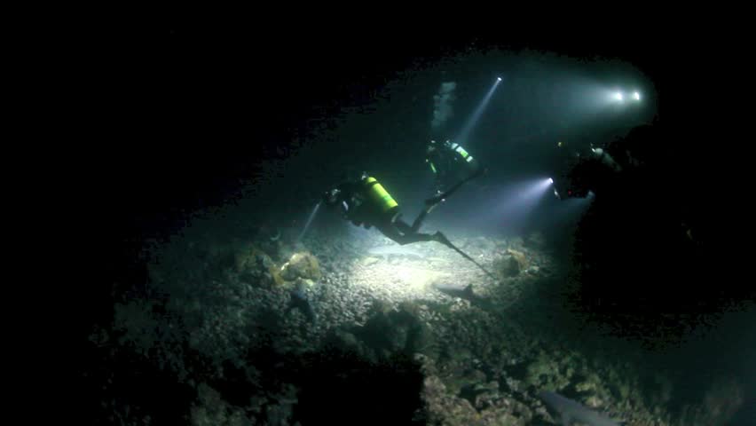 At night, a group of scuba divers use powerful lights to illuminate a rocky reef