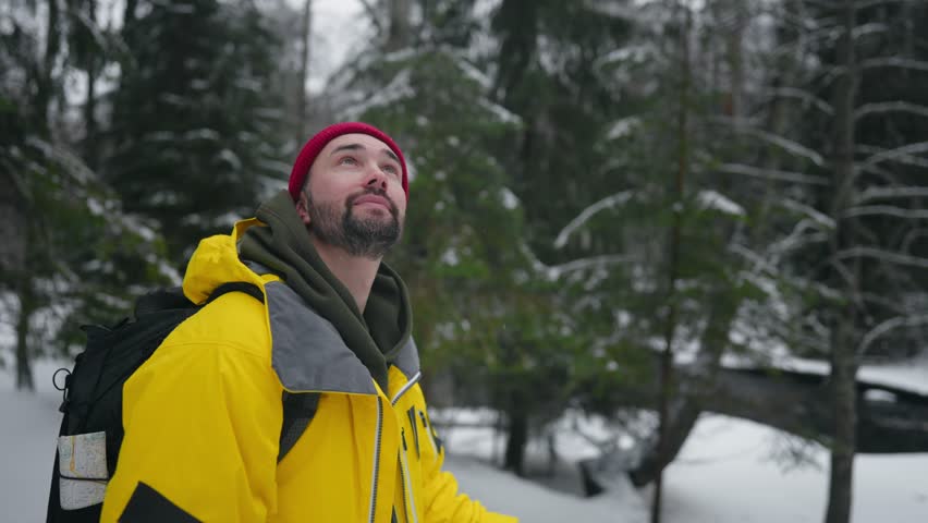 Shutterstock Video