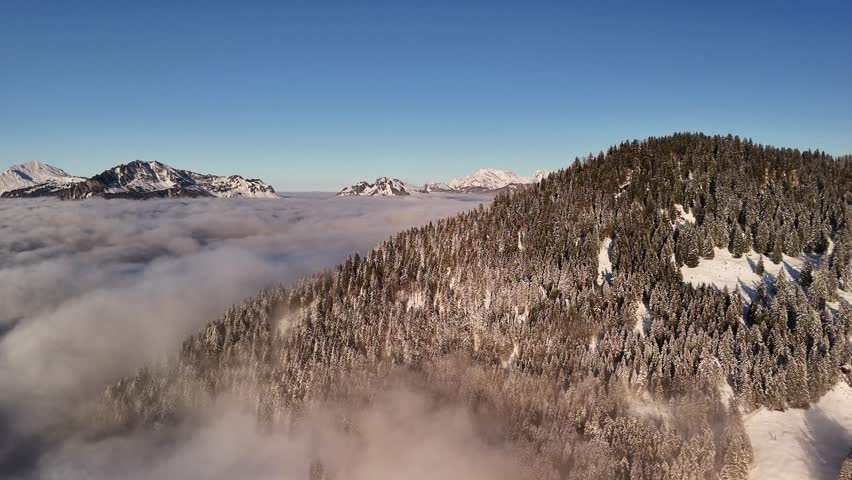 Switzerland winter landscape early morning fog valley snow covered forest