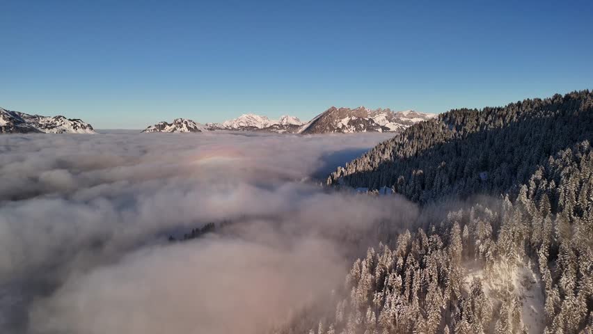 Winter Switzerland frozen snow covered evergreen spruce tree forest, aerial mist clouds valley