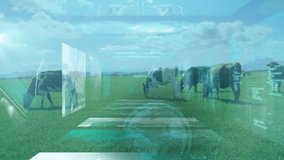 Cows grazing in field with digital technology and data processing animation overlay. Agriculture, livestock, innovation, farm, analytics, sustainability - Powered by Shutterstock - Get 15% off with code: PIKWIZARD15