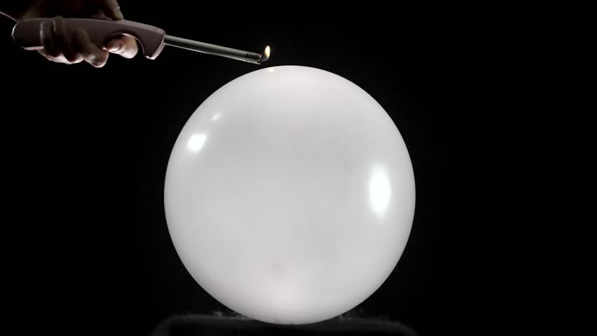 Shutterstock Video