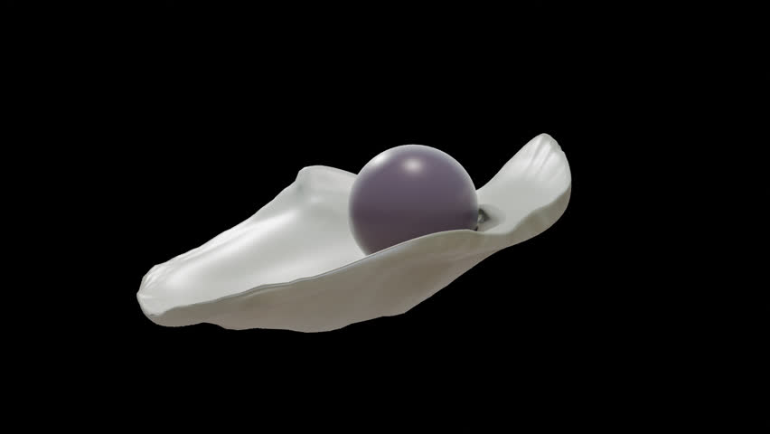 Quahog pearl in venus clam