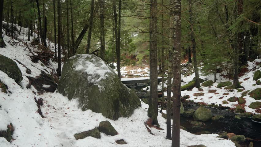 A back shot of a male hiker walking along a stream flowing in a snowy forest during daytime in Algonquin Park, Ontario, Canada