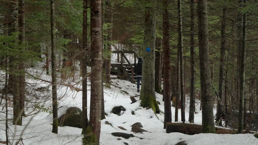 A Caucasian male hiker climbing old wooden stairs in a winter forest scene during daytime in Algonquin Park, Ontario, Canada