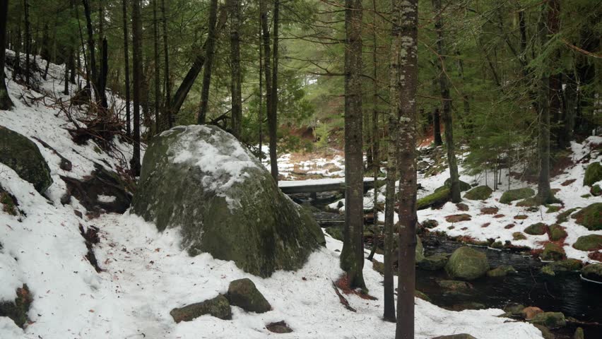 A male hiker walking along a wooden bridge over a stream in a snowy boreal forest during daytime in Algonquin Park, Ontario, Canada