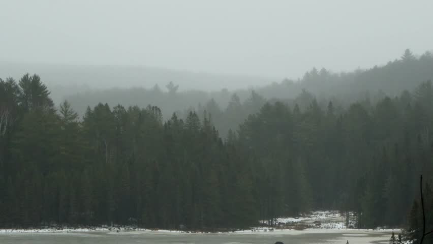A view of Layers of trees separated by a rainy fog in Algonquin Park, Ontario, Canada