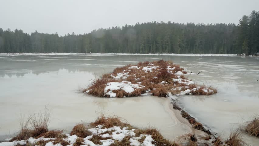 A view of a frozen winter lake on a rainy day with dry plants, and misty forest in the background in Algonquin Park, Ontario, Canada