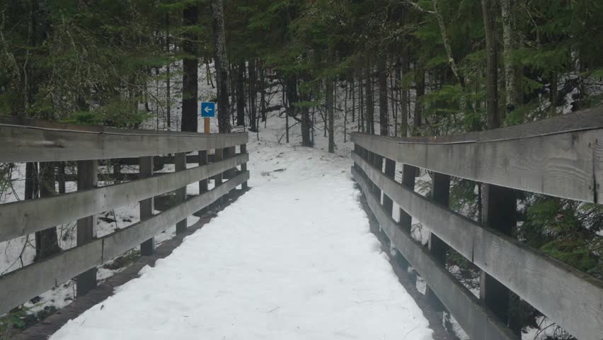 A back shot of a man walking across a snow-covered wooden bridge in a forest in Algonquin Park, Ontario, Canada during daytime