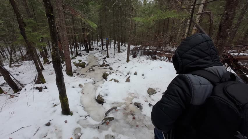 A back shot of a man hiking with camera bag down an icy path in a snow covered forest during daytime in Algonquin Park, Ontario, Canada