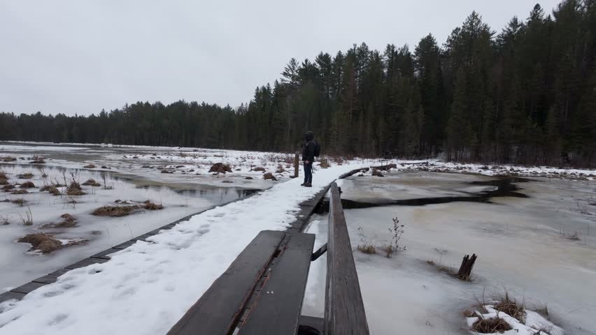 A Caucasian man Walking down a snowy border running through an ice-covered bog with green trees in the background in Algonquin Park, Ontario, Canada