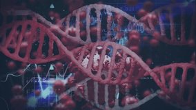 DNA strands and virus particles intertwining in digital scientific animation. Biotechnology, genetics, microbiology, virology, molecular, research - Powered by Shutterstock - Get 15% off with code: PIKWIZARD15