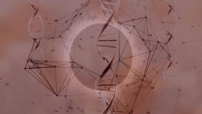 Animation of DNA strands and network connections on abstract geometric background. Biotechnology, genetics, molecular, science, digital, technology - Powered by Shutterstock - Get 15% off with code: PIKWIZARD15