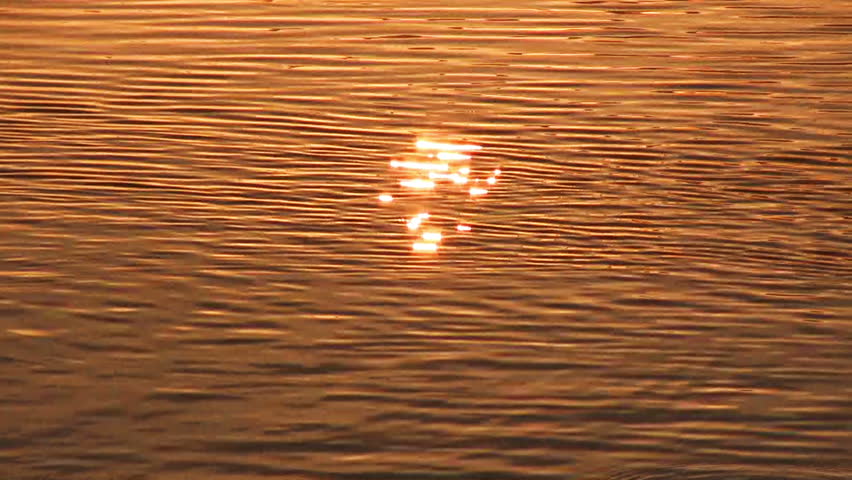 Sun reflection in water surface, tranquil scene