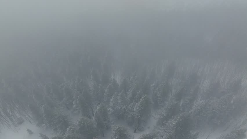 Foggy landscape of Mountain with clouds and wind push through treetops on top of mountain in Breckenridge, Colorado, USA. Aerial shot.