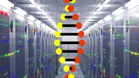 DNA strand and binary coding, scientific data processing animation in server room. Science, technology, digital, analysis, genetics, research - Powered by Shutterstock - Get 15% off with code: PIKWIZARD15