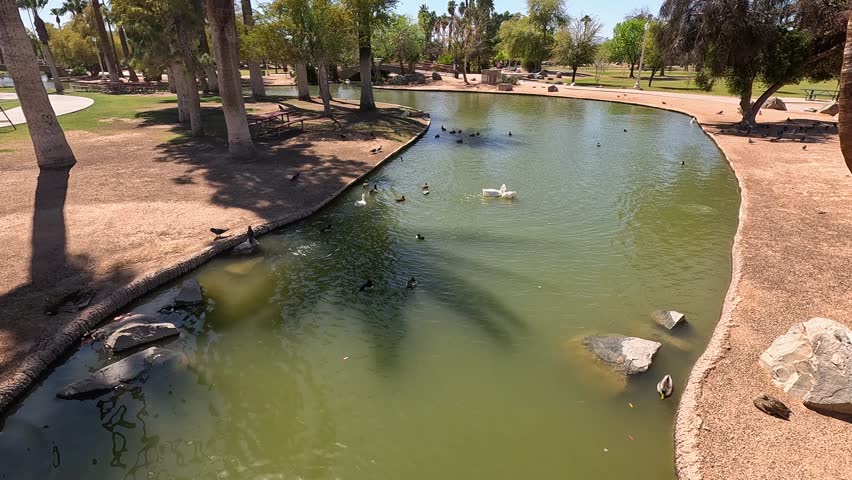 footage of a gorgeous at Encanto Park with a lake, lush green trees, plants and grass in Phoenix Arizona USA