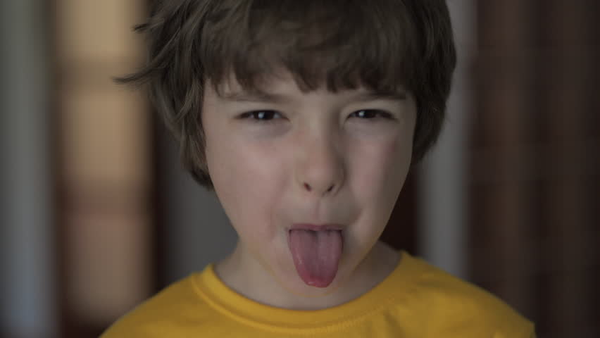 Shutterstock Video