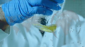 Scientist wearing mask and gloves examining data processing animation over world map. Technology, research, innovation, cybersecurity, global, laboratory - Powered by Shutterstock - Get 15% off with code: PIKWIZARD15