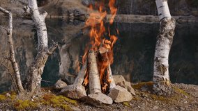 Crackling Campfire with Birch Trees by the Lake , Authentic Sound - Powered by Shutterstock - Get 15% off with code: PIKWIZARD15