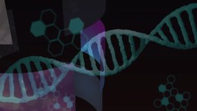 DNA strand with binary coding, processing scientific data in animation mode. Genetics, biotechnology, digital, sequence, bioinformatics, deoxyribonucleic - Powered by Shutterstock - Get 15% off with code: PIKWIZARD15